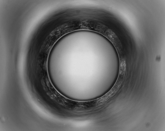 X0000098050765200804111313