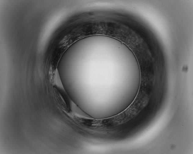 X0000098050766200804111313