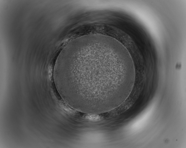 X0000098050767200804111313