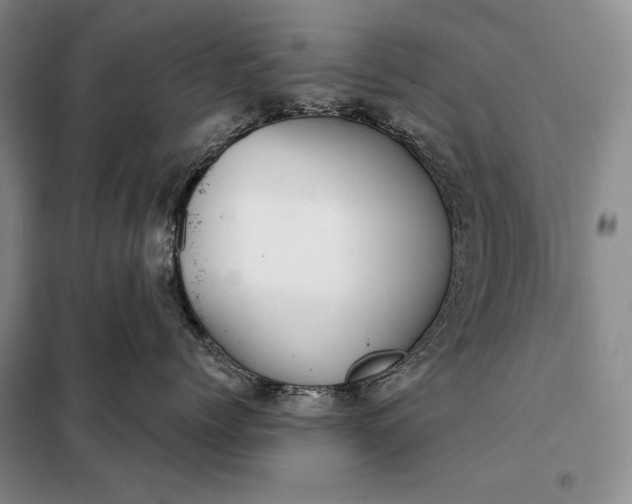 X0000098050768200804111313