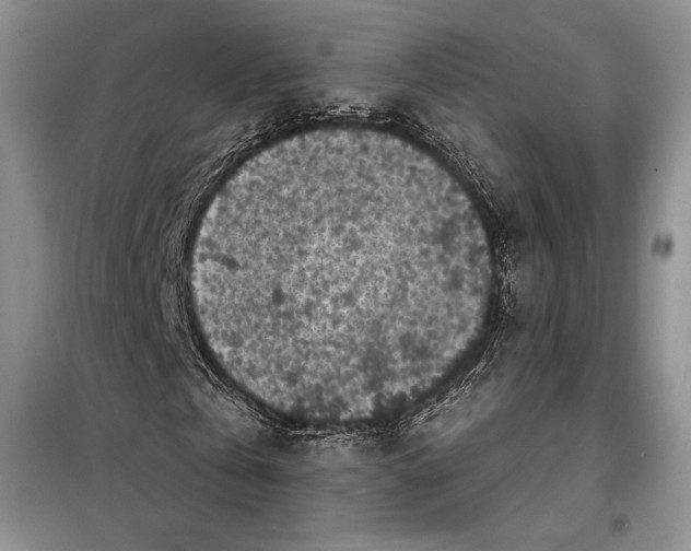 X0000098050769200804111312