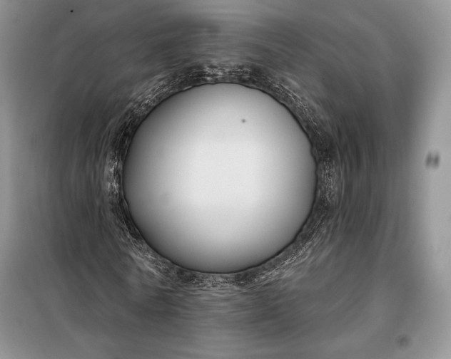 X0000098050770200804111312