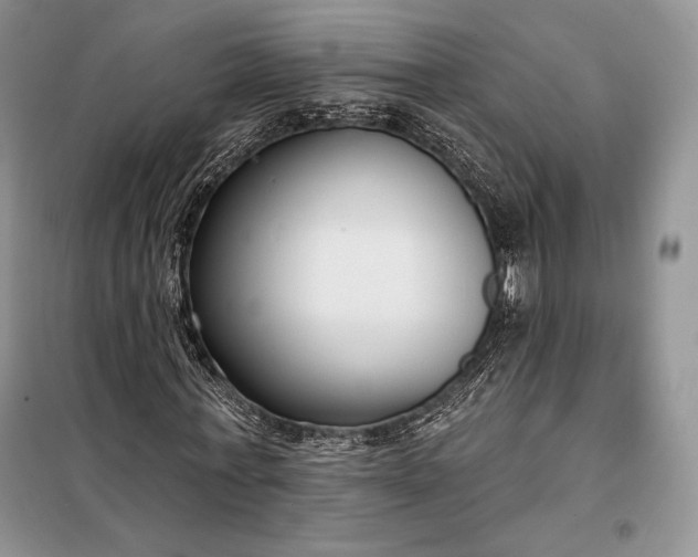 X0000098050771200804111312