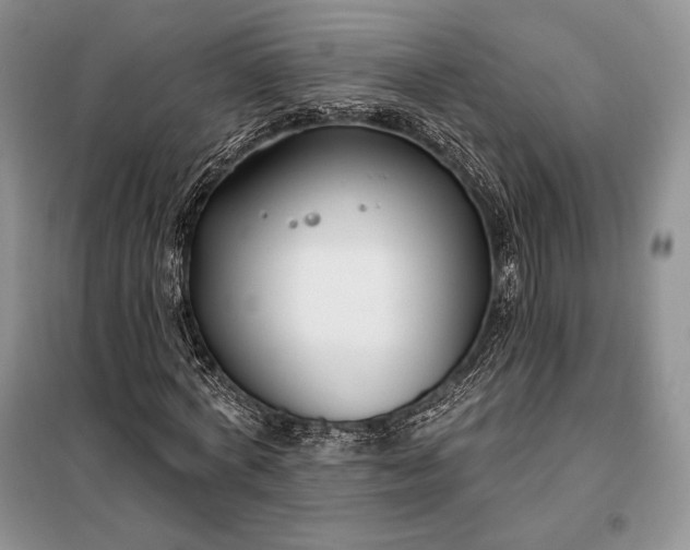 X0000098050772200804111312