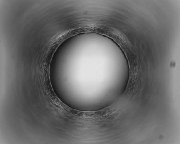 X0000098050773200804111312