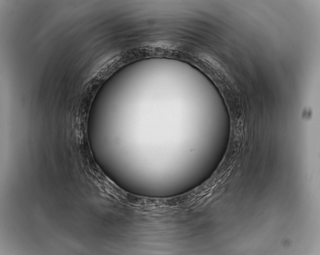 X0000098050774200804111312