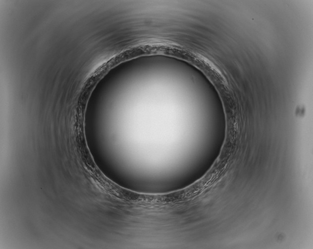 X0000098050775200804111312