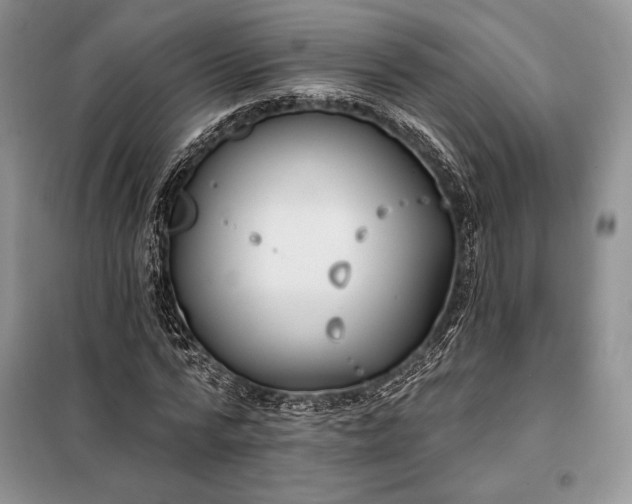 X0000098050776200804111312