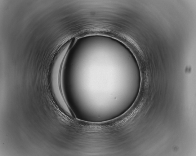 X0000098050777200804111312