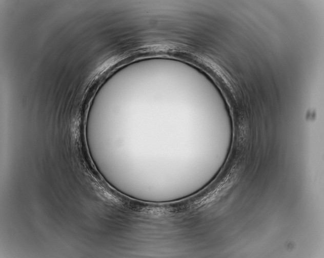 X0000098050778200804111312