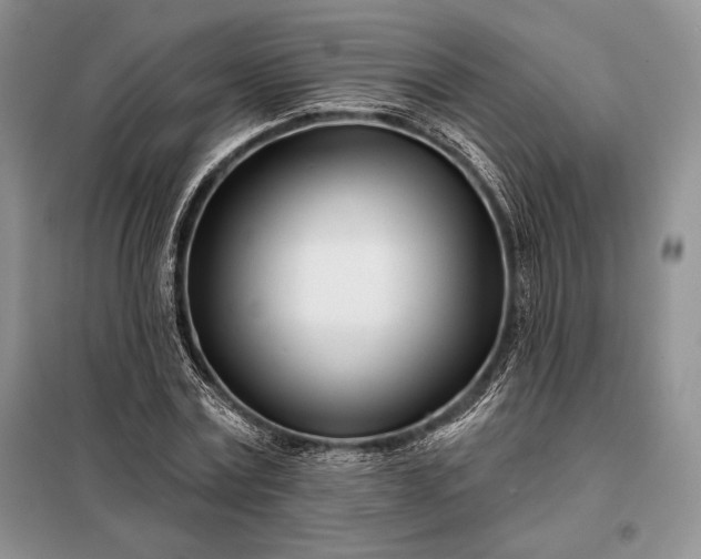 X0000098050779200804111312