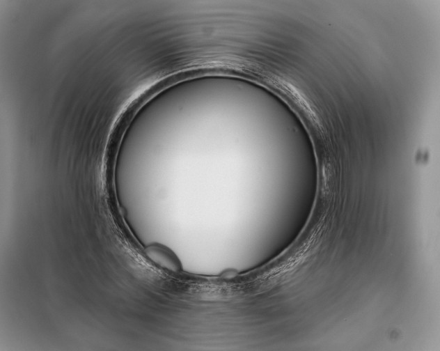 X0000098050780200804111312