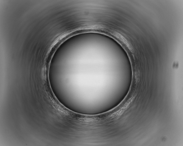 X0000098050781200804111312