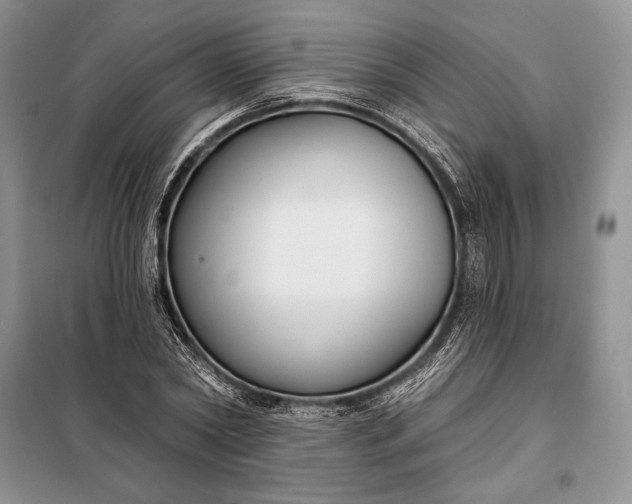 X0000098050782200804111312