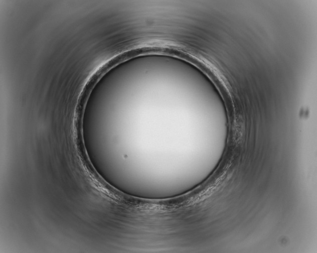 X0000098050783200804111312