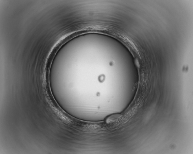 X0000098050784200804111312