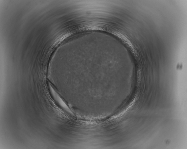 X0000098050785200804111312