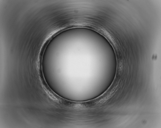 X0000098050787200804111312