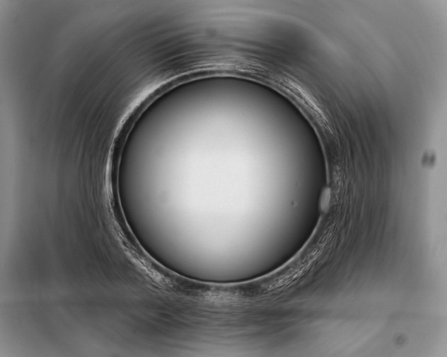 X0000098050788200804111312