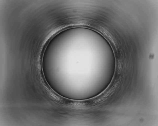 X0000098050789200804111312