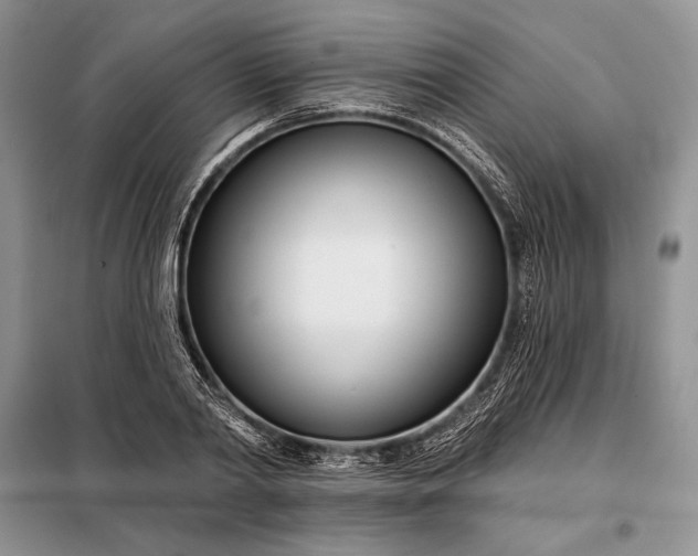 X0000098050790200804111312