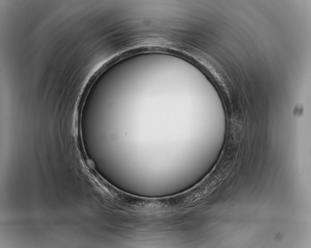 X0000098050791200804111312