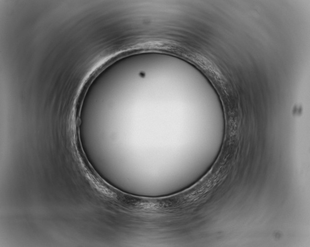 X0000098050792200804111312