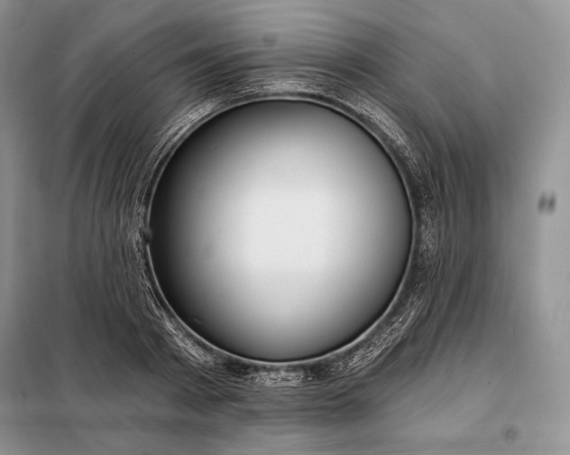 X0000098050793200804111312