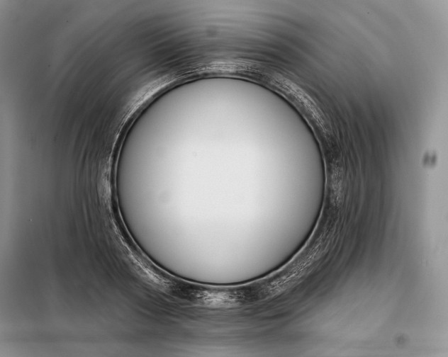 X0000098050794200804111312