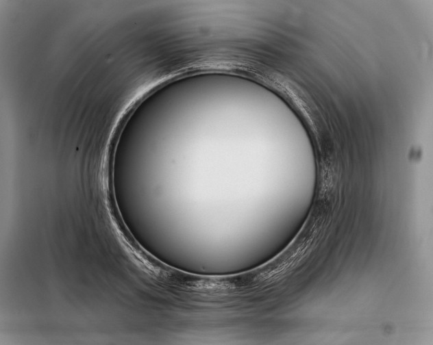 X0000098050795200804111311