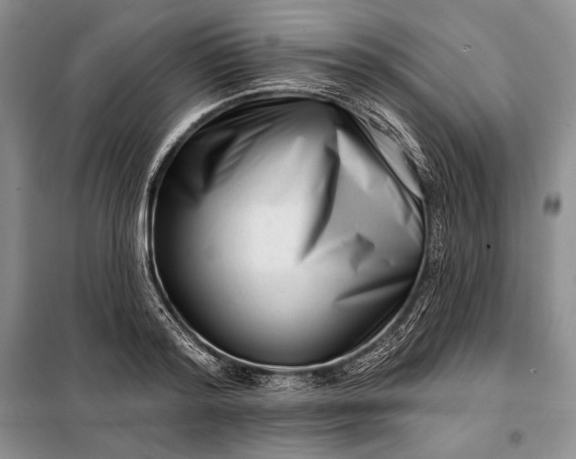 X0000098050796200804111311