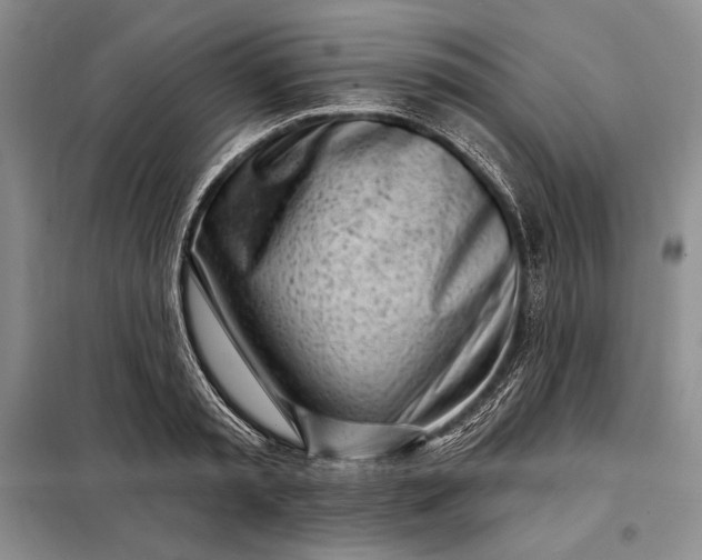 X0000098050797200804111311