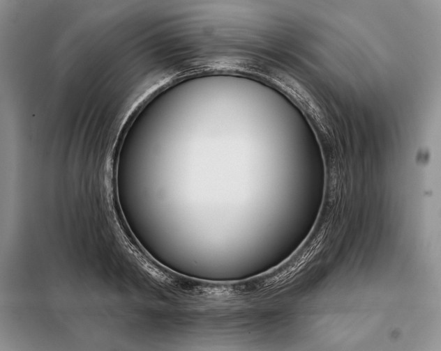 X0000098050798200804111311