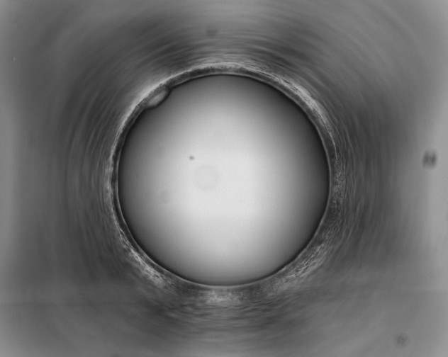 X0000098050799200804111311