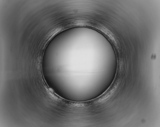 X0000098050801200804111311