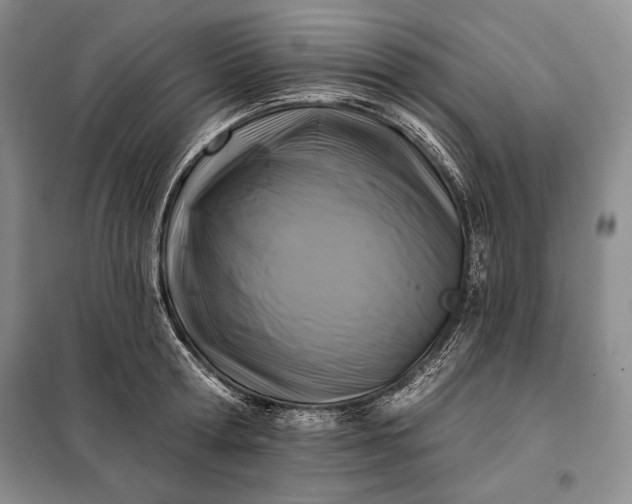 X0000098050802200804111311