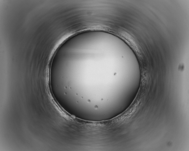 X0000098050804200804111311