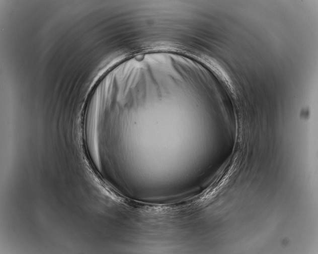 X0000098050806200804111311