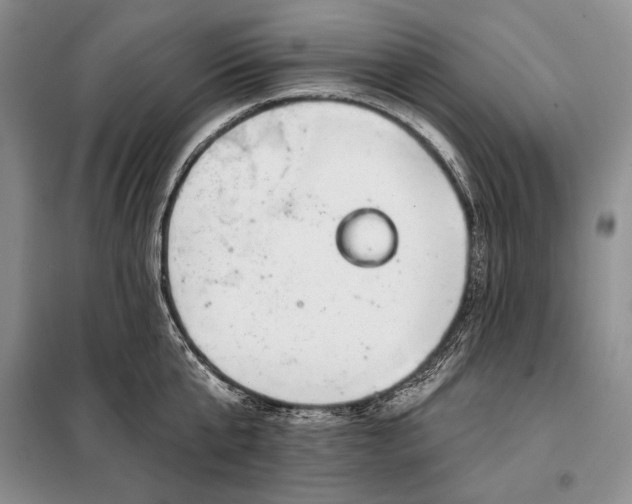 X0000098050807200804111311