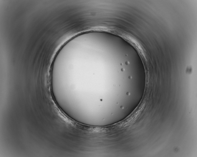 X0000098050808200804111311