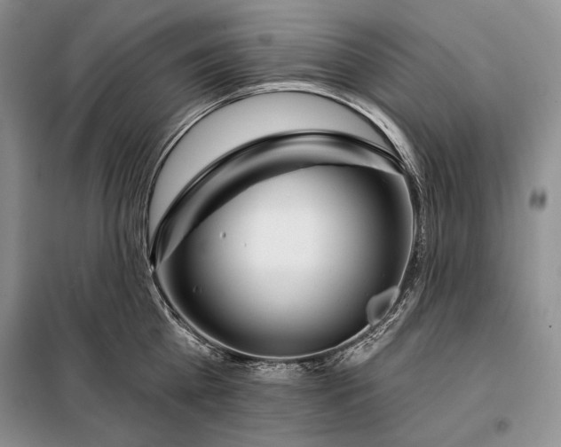 X0000098050809200804111311