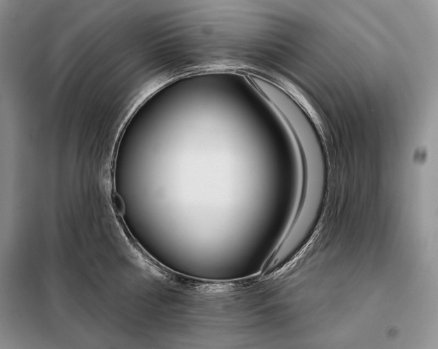 X0000098050810200804111311