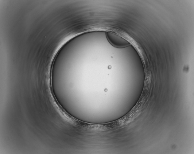 X0000098050811200804111311