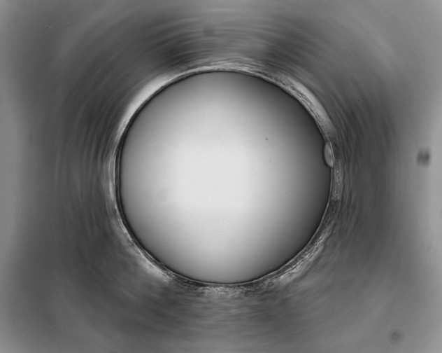 X0000098050812200804111311