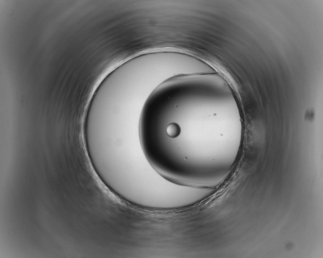 X0000098050813200804111311