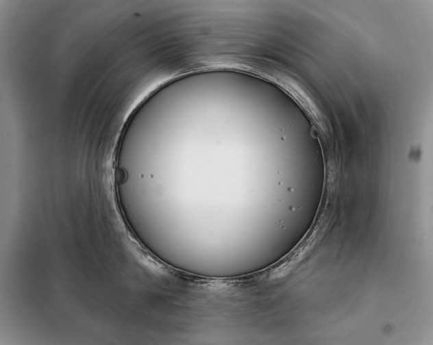 X0000098050814200804111311