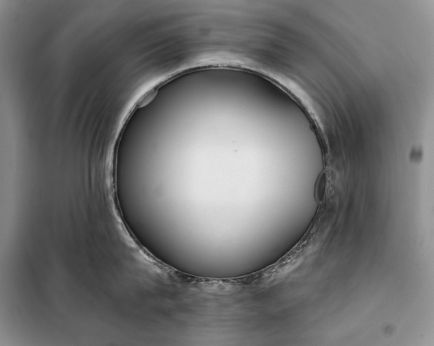 X0000098050815200804111311