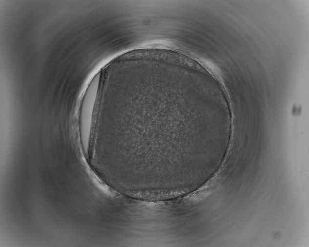 X0000098050816200804111311