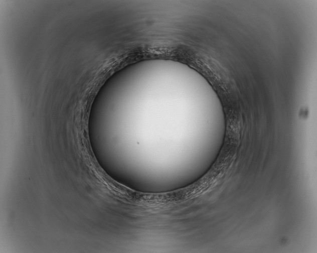 X0000098050817200804111310