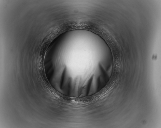 X0000098050818200804111310